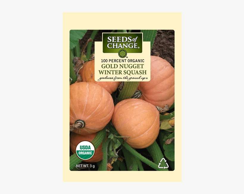 Organic Gold Nugget Squash Seeds - Seeds Of Change 21076 Organic Zesty Cln Quinoa Blend, transparent png download
