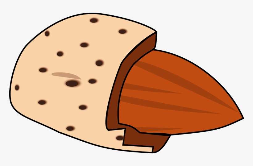 Big Image - Illustration, transparent png download