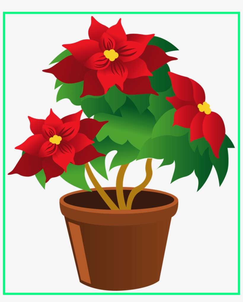Best Poinsettia Pot Png My Garden Valley - Flower Pot Clipart Png, transparent png download