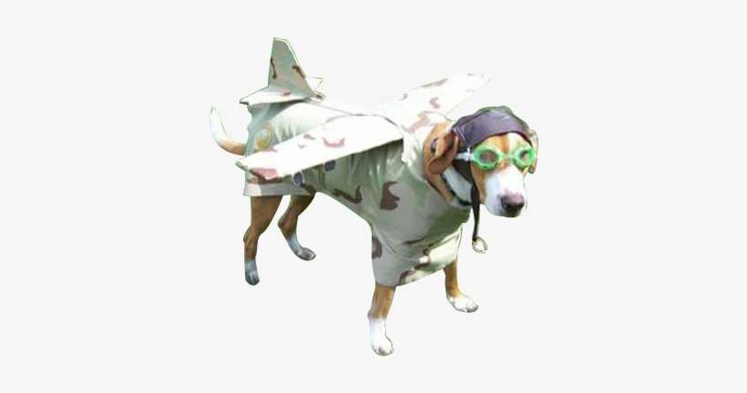 Airplane Dog, transparent png download