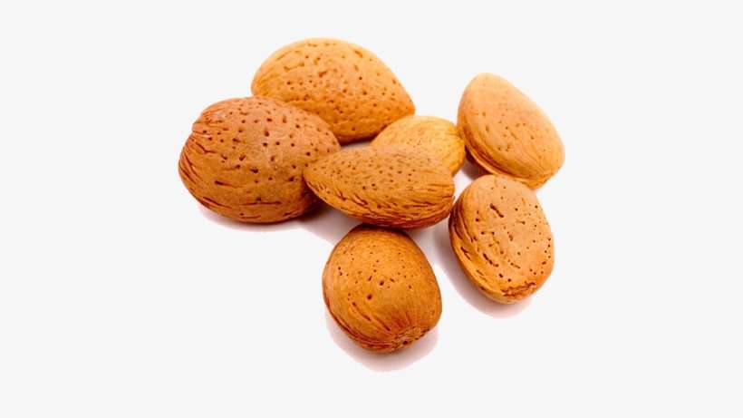Almond Natural Skincare - Almond Seeds Vs Apricot Seeds, transparent png download