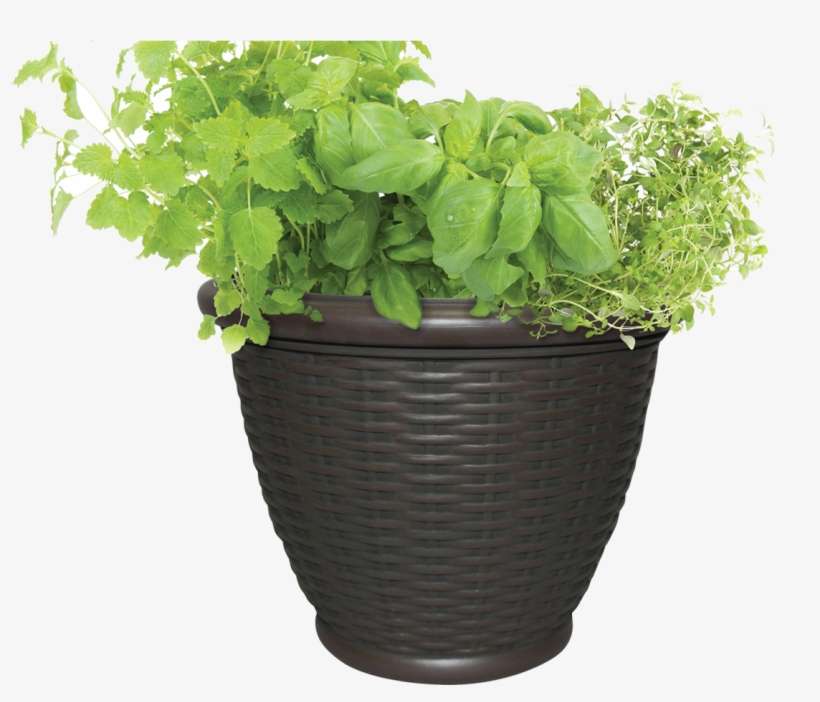 Pot With Soil Transparent Background Png - Outdoor Planter Transparent Background, transparent png download