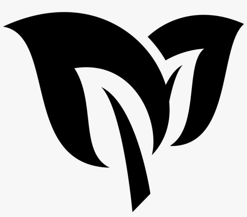 Herbs Leaves For Natural Spa Treatment Comments - Natural Icon Png, transparent png download