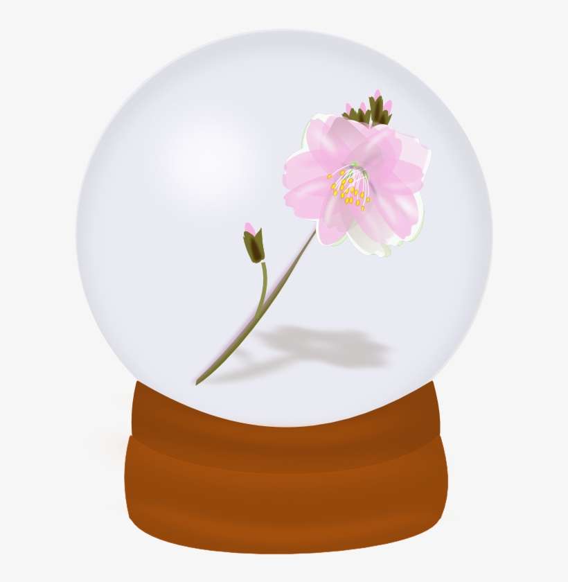 1299292687 - Bola De Cristal Con Rosa Png, transparent png download