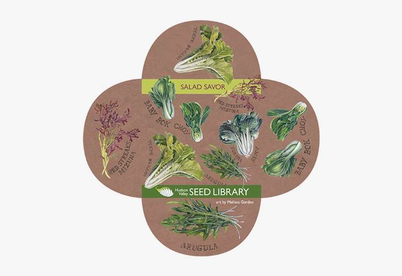 Related Blog Posts - Salad, transparent png download