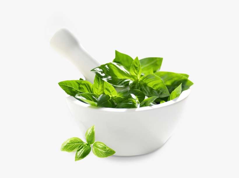 Fresh Herbs In Your Cupboard Not Your Fridge - Herbal Png Transparent, transparent png download