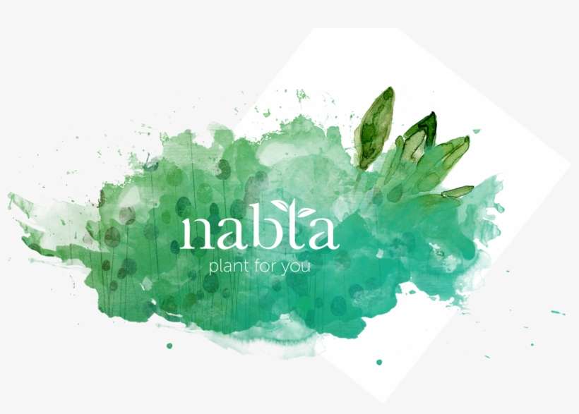 About Us - Illustration, transparent png download