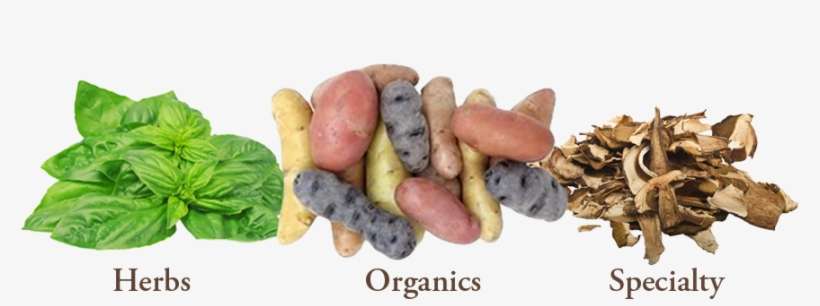 Bay Area Herbs & Specialties - Fruit Shop, transparent png download