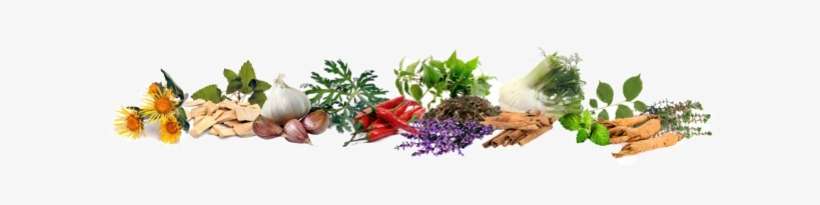 Herbs And What Do They Do - Natural Foods, transparent png download