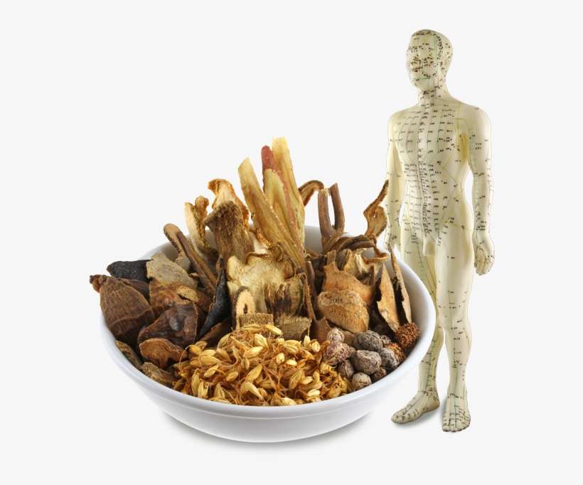 A Friendly And Professional Medical Practice For Acupuncture - Png Chinese Medical Herbs, transparent png download