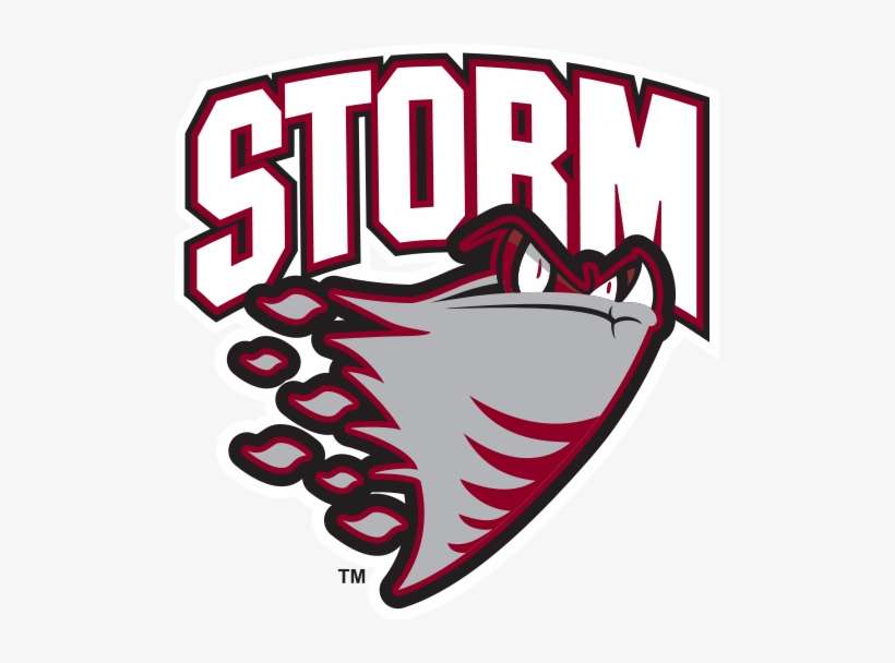 Guelph Storm - Guelph Storm Logo Png, transparent png download