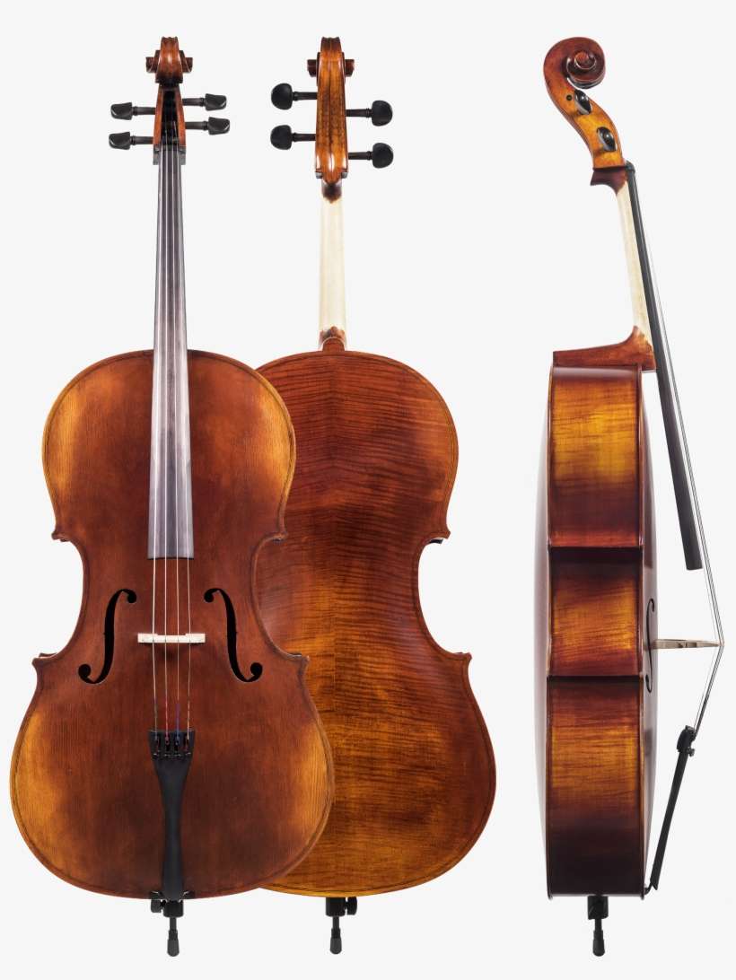 225 Cello 2016 Copy - Cello Model, transparent png download