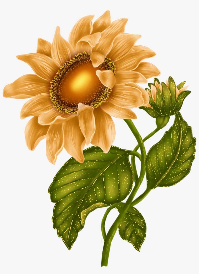 October 2015 « Archive - Flowers Flores Clipart, transparent png download