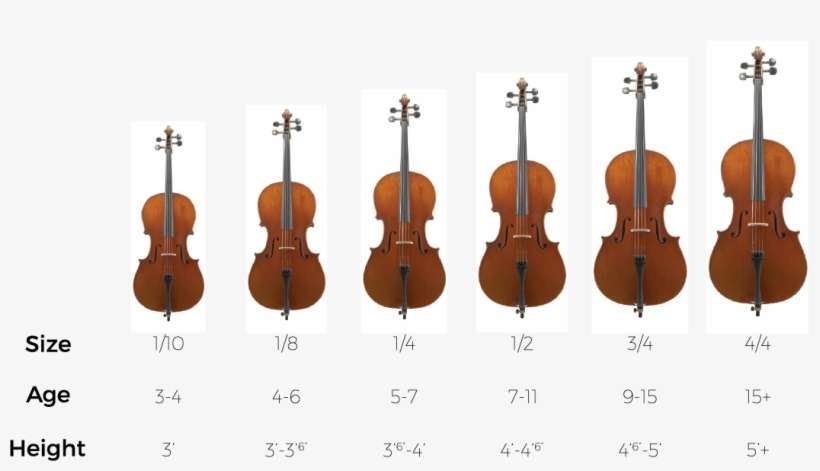 Specs - 1 8 Violin Size, transparent png download