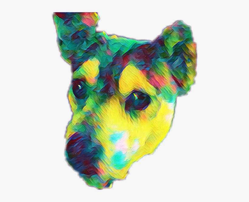 Zebra, transparent png download