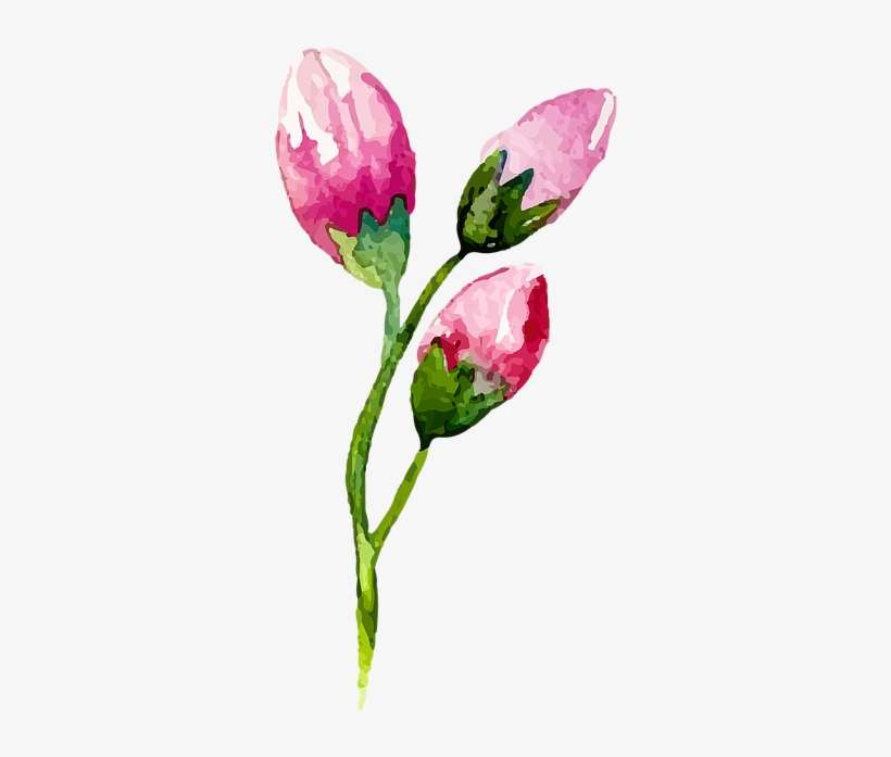 D - M Schimatari - Leggings La Moda, transparent png download