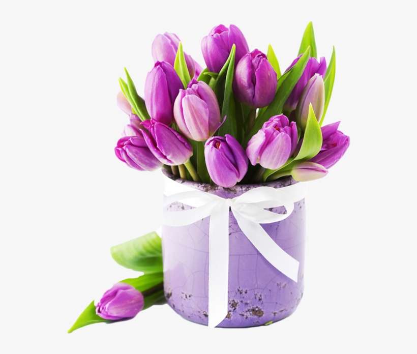 Tulip Flower Vector, Tulip, Lavender, Violet Png And - สวัสดี วัน เสาร์ ดอกไม้, transparent png download
