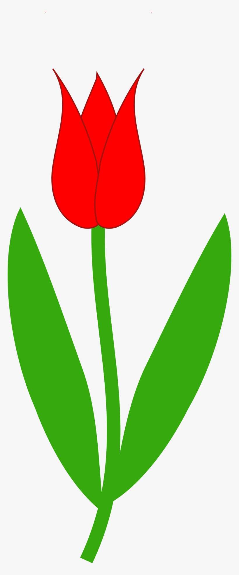 How To Set Use Red Tulip Clipart - Red Tulip Clip Art, transparent png download