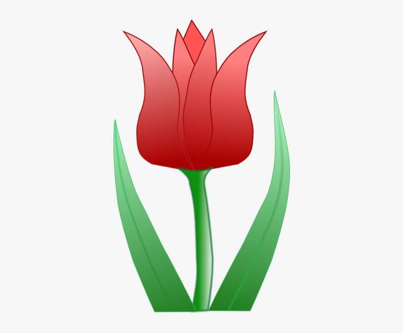 Tulip Svg Clip Arts 360 X 598 Px, transparent png download