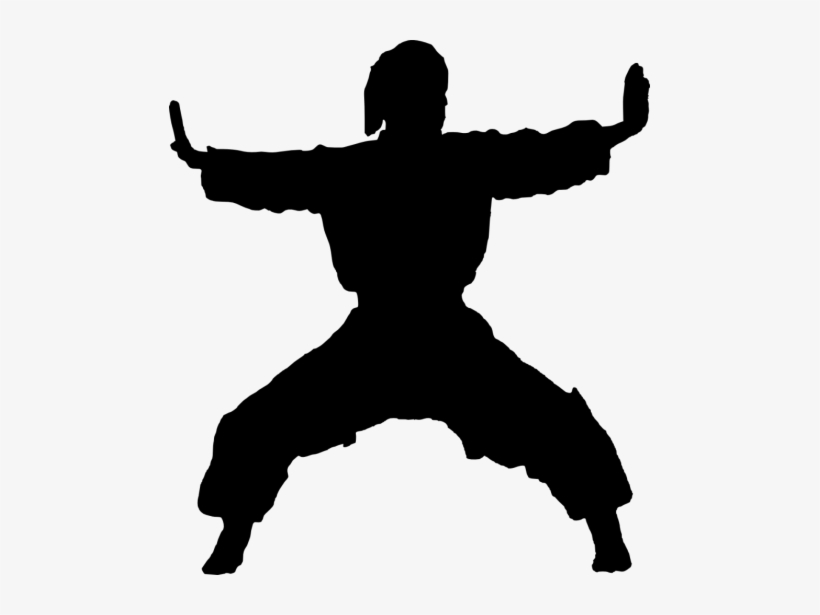 Free Png Karate Silhouette Png Images Transparent - Karate Silhouette Png, transparent png download
