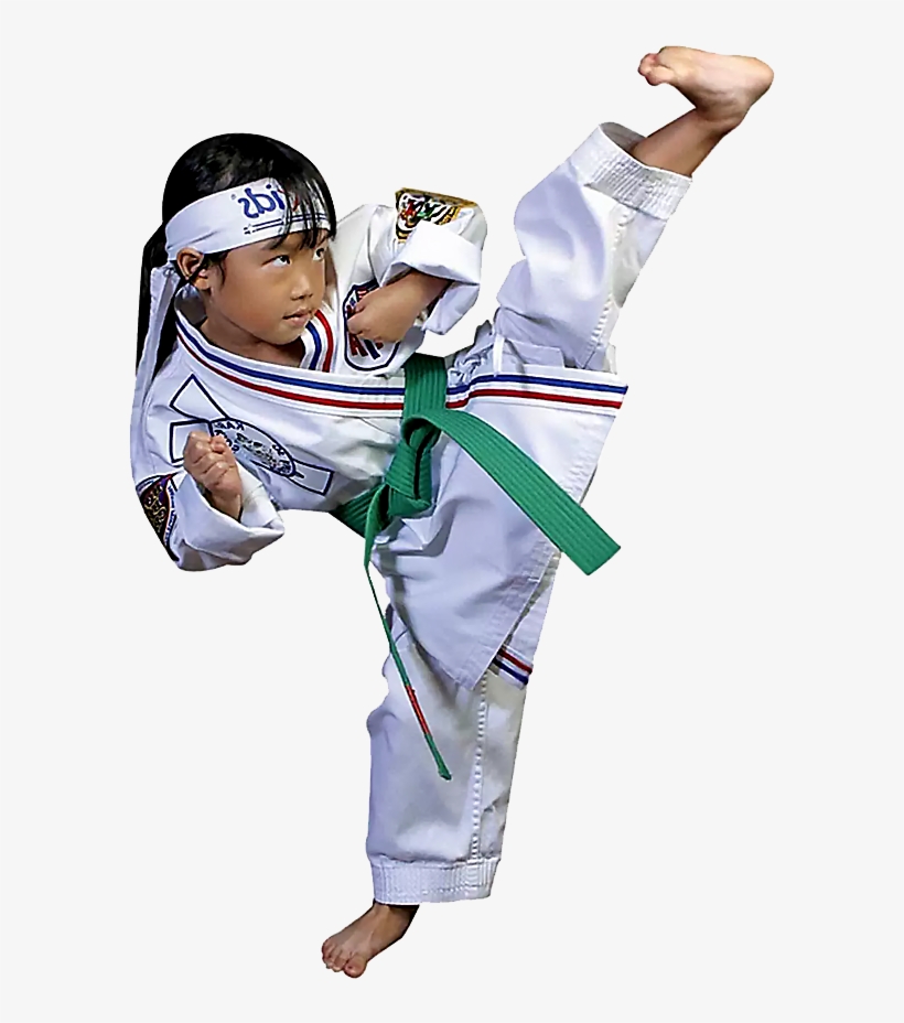 What People Are Saying - Taekwondo Kids, transparent png download