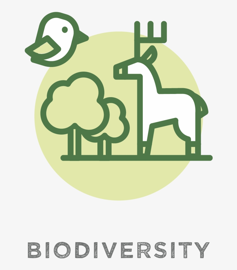 Earth Day Quiz - End Greed Sticker (rectangle), transparent png download