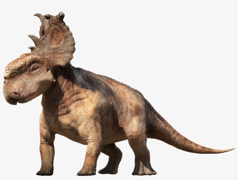 Clip Art Black And White Png Image Purepng Free Cc - Dinosaurs Pachyrhinosaurus, transparent png download