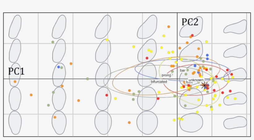 Biplot Of The Pca Performed On All Stegosaurus Plates - Circle, transparent png download