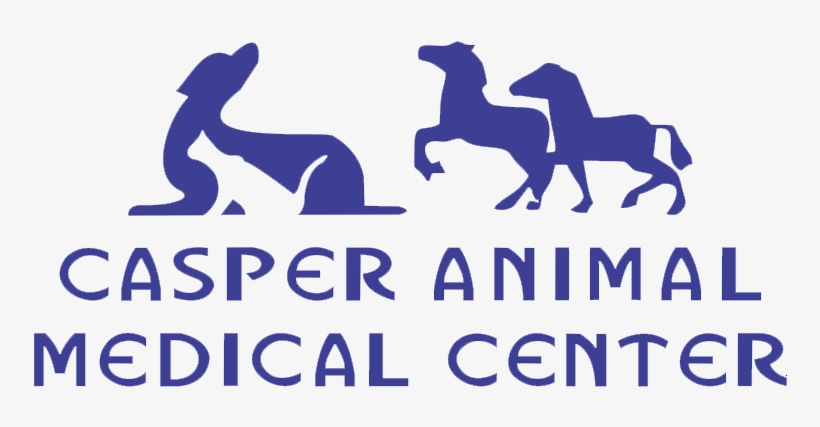 Casper Animal Medical Center, transparent png download
