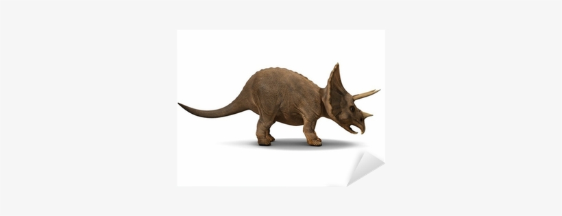 Triceratops, transparent png download