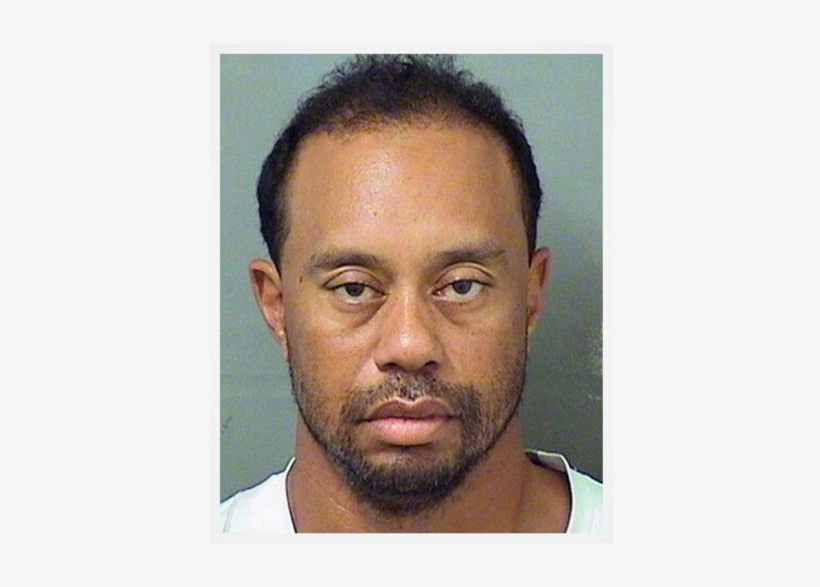 Tiger Woods Completes 'intensive Program' Following - Tiger Woods Golf 2017, transparent png download