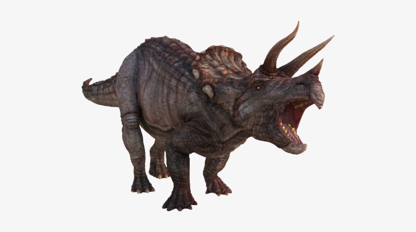 Triceratops - Advanced Graphics 1037 Triceratops Cardboard Standup, transparent png download
