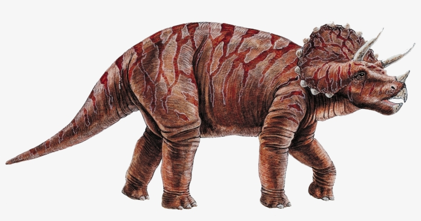 Triceratops Cretaceous Dinosaur Transprent Png Free - Dinosaur Height In Feet, transparent png download