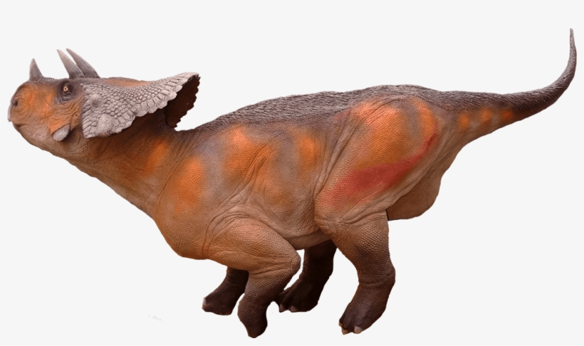 Triceratops - Dinosaur Avaceratops Png, transparent png download