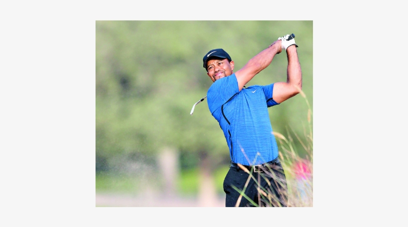 Tiger Woods - - Tiger Woods, transparent png download