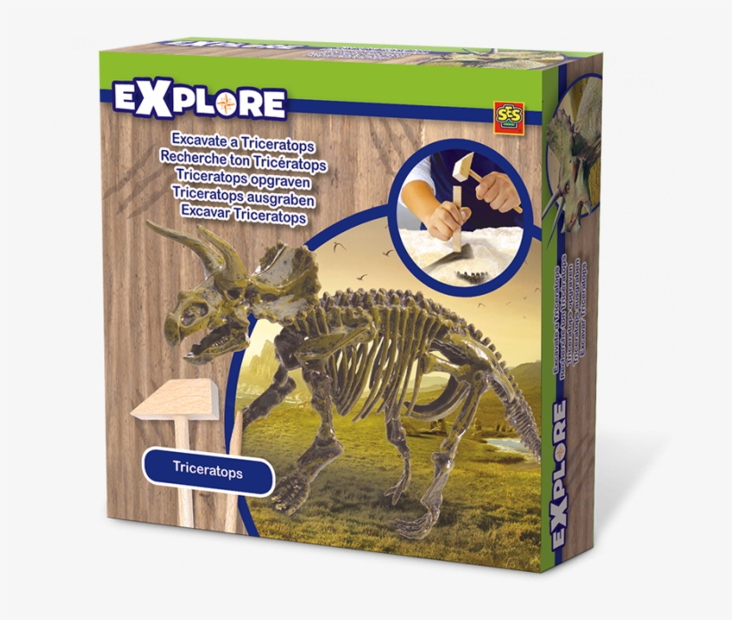 Ses 25029 Triceratops Opgraven, transparent png download