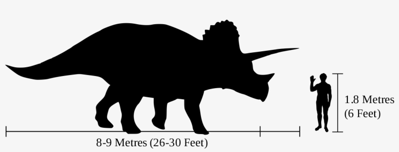 Triceratops - Triceratops Compared To Human, transparent png download