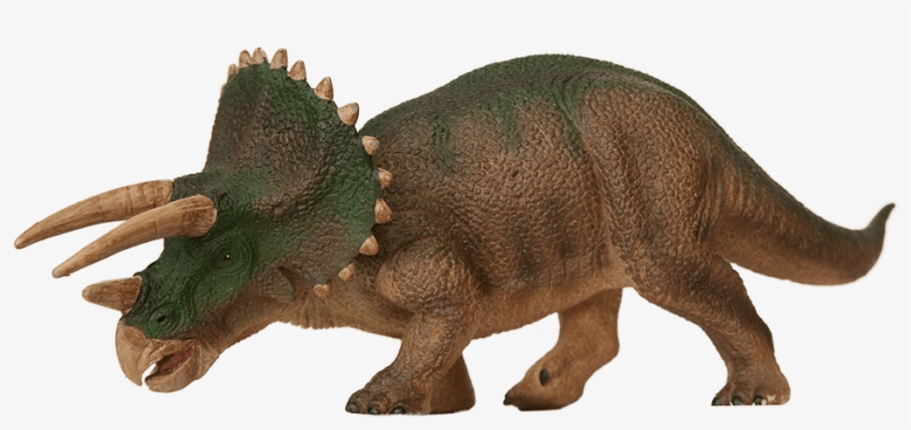 Annica Roos, Nrm - Triceratops, transparent png download
