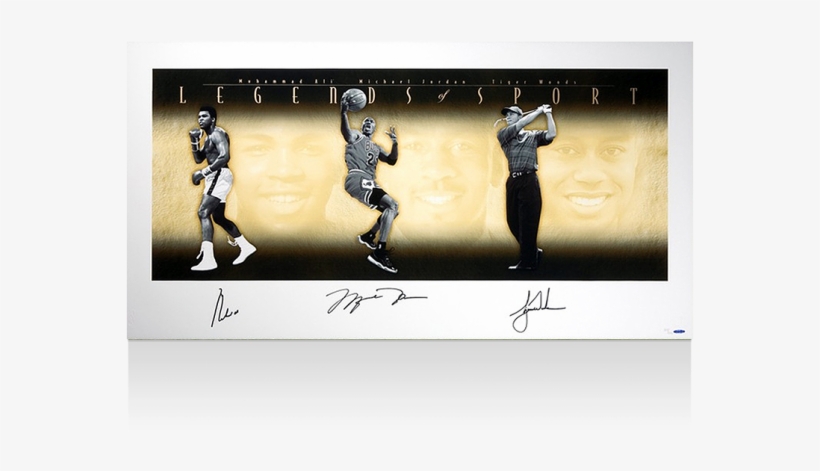 Muhammad Ali, Michael Jordan & Tiger Woods Signed Legends - Tiger Woods Autograph, transparent png download