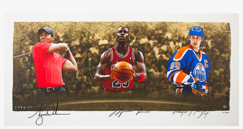 Wayne Gretzky, Michael Jordan & Tiger Woods Signed - Jordan, Gretzky & Woods Signed Framed Icons, transparent png download