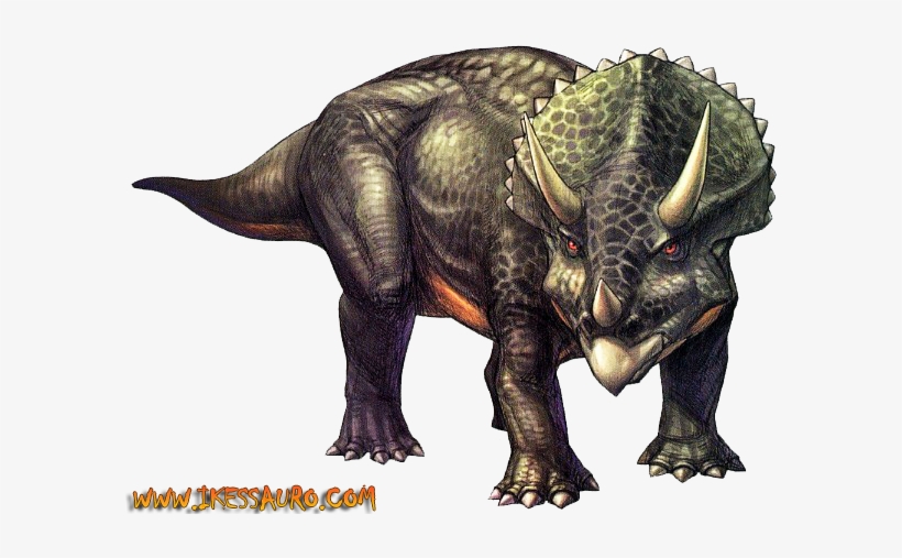 Source - Vignette1 - Wikia - Nocookie - Net - Triceratops Png, transparent png download