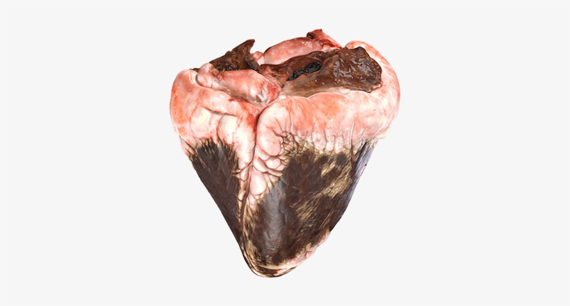 3d Modeling, transparent png download