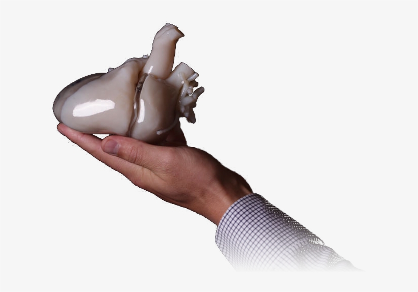 We Demonstrate The Entire Workflow, Starting From Image - Chocolate, transparent png download