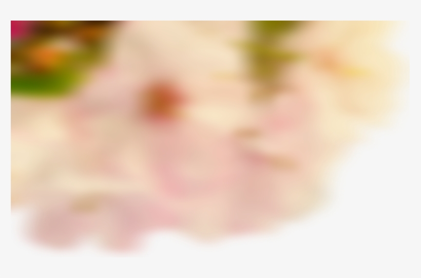 Flower - Peach, transparent png download