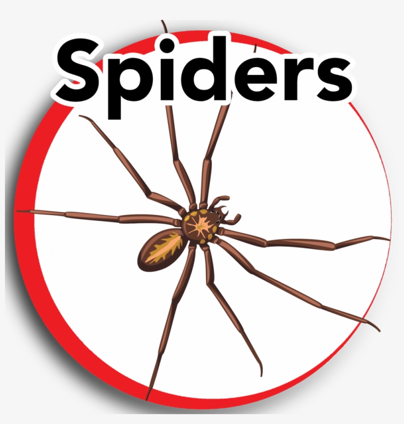 Keep Calm And Respect Seniors, transparent png download