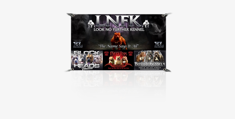 Ban - Flyer, transparent png download