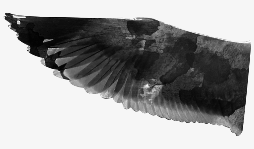 Walk In The Wood Png - Portable Network Graphics, transparent png download