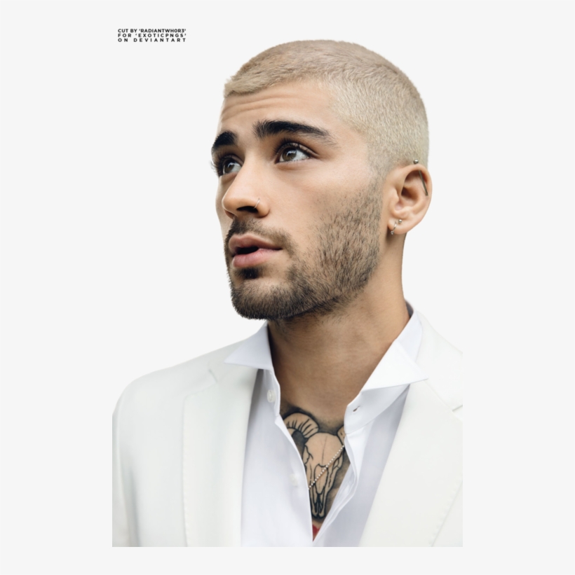 Png And Zayn Malik Image - Zayn Malik, transparent png download