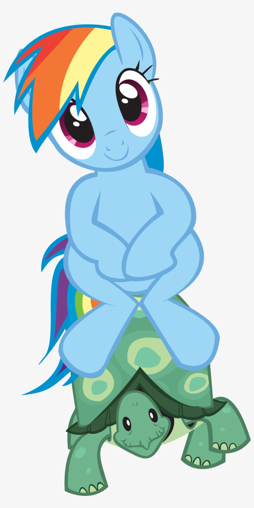 Mlp Rainbow Dash My Little Pony Rainbow Dash's Pet PNG Image