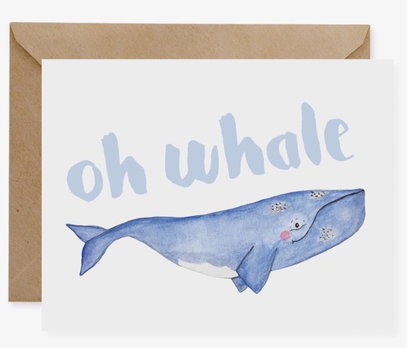 North Atlantic Right Whale - Gift, transparent png download